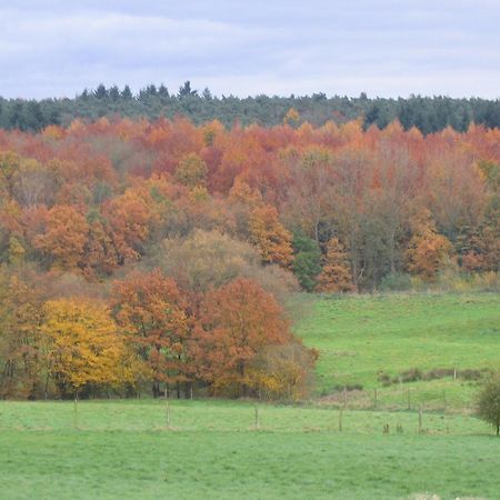 Hallerbos B&B In Bluebell Forest Halle  Kültér fotó